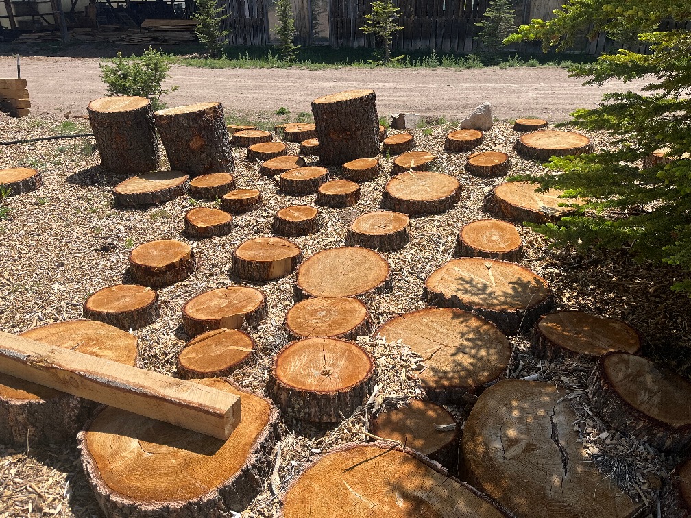 Image of Douglas-fir log cookies for 'stepping stones'